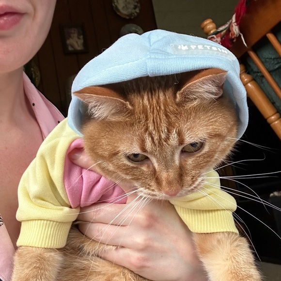 🫧[ Petsin ] 2 Colorblock Hoodies for Pets - Picture 13 of 14